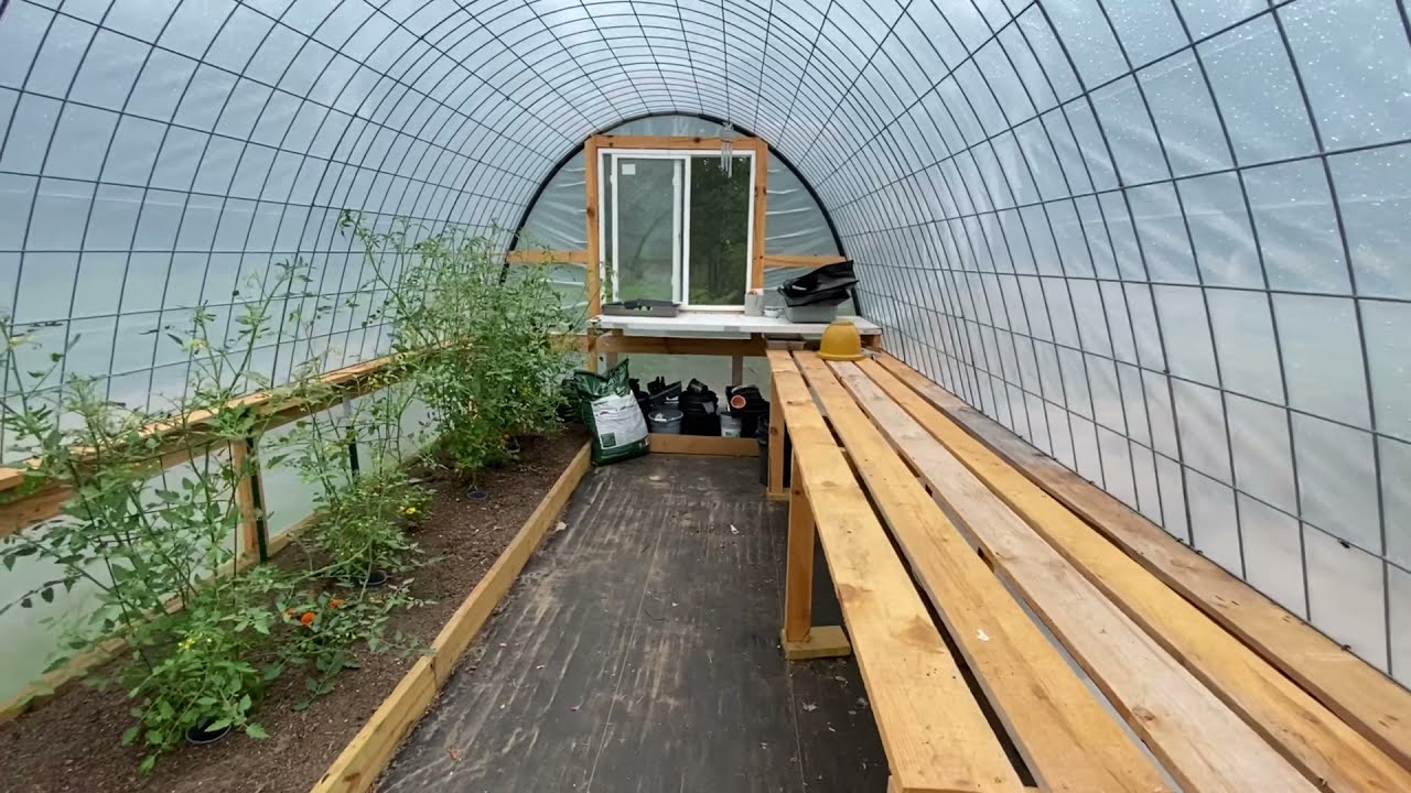 EASY* DIY Cattle Panel Hoop House Greenhouse