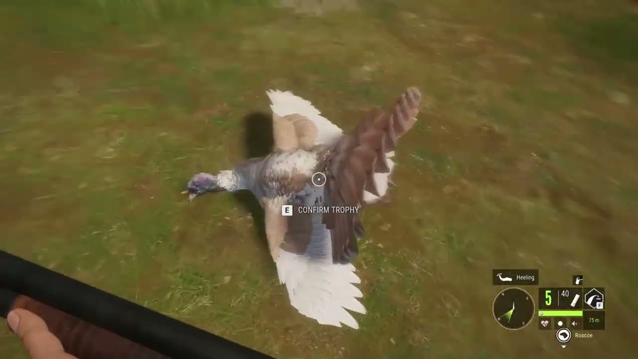 let's go turkey hunting