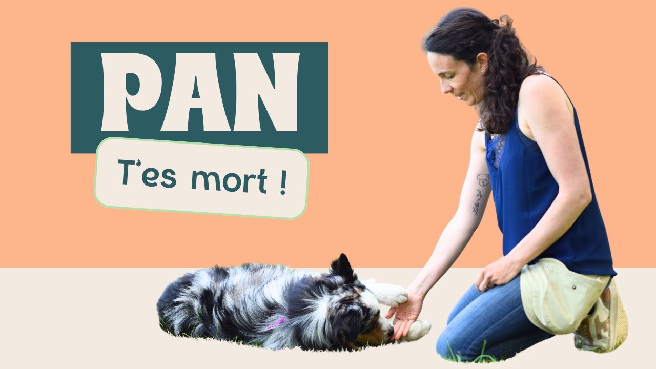 Apprendre le PAN ou le DODO à son chien - TRICKS DOG DANCING