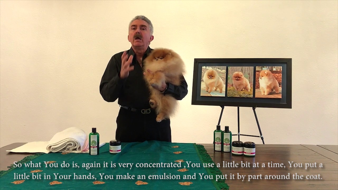 Deep treatment for coat with Starfire&rsquo;s Canine Care Line