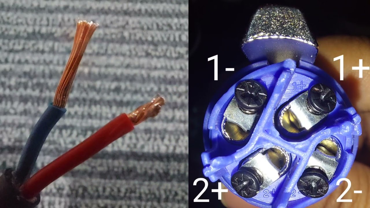 Klotz LY225S Speaker Cable & BMA Speakon Plug