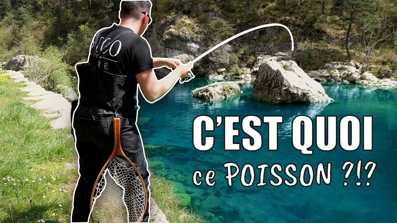 On n'a JAMAIS VU une rivière aussi BELLE en pêchant la TRUITE !