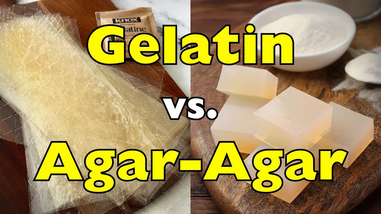 Agar-Agar vs Gelatin: Which One Should You Use?