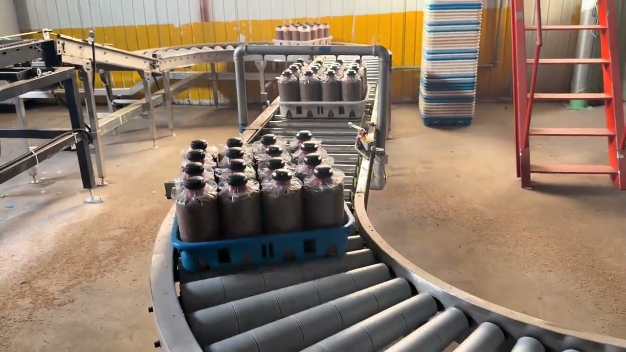 Full Automatic Ring Sleeving, Capping, Bagging & Shelving Machine for Mushroom Cultivation#machine