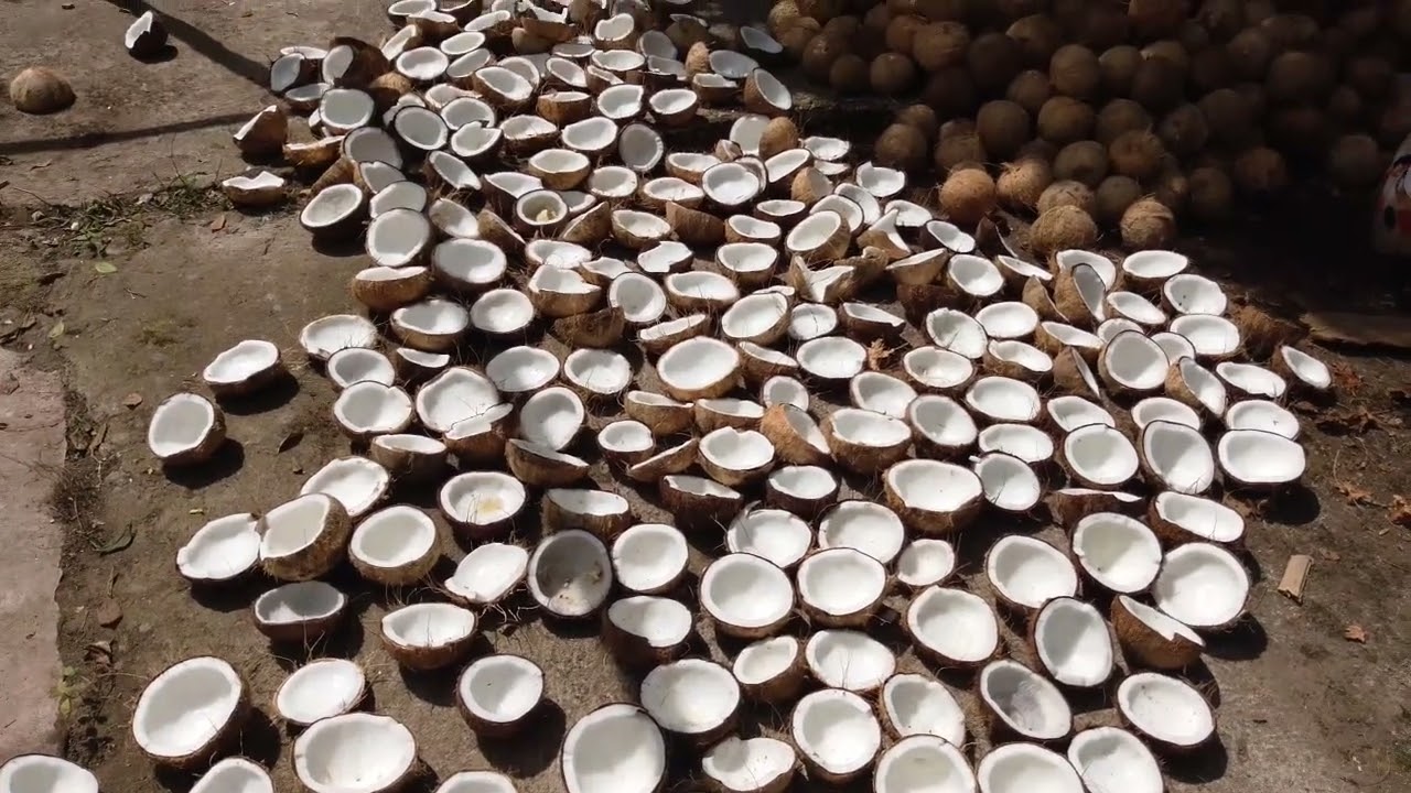 Knowledge vs Unconventional Thinking 🤔 !