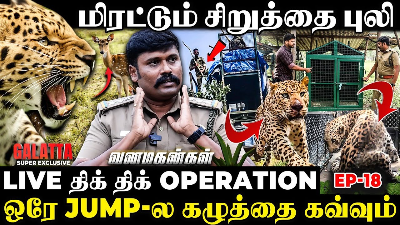 🐅சிறுத்தைய கூண்டுல அடைச்சா இரும்பு Gate-அ கடிச்சி உடைக்கும்😱நடுநடுங்க வைக்கும் Operation🔥Ep- 18
