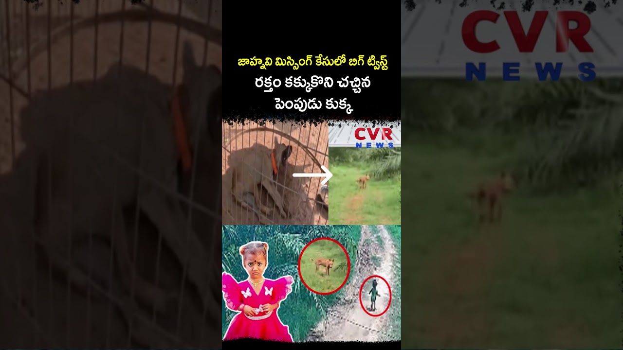 జాహ్నవి మిస్సింగ్ కేసులో బిగ్ ట్విస్ట్ రక్తం కక్కుకొని చచ్చిన పెంపుడు కుక్క | Tuni Missing Case