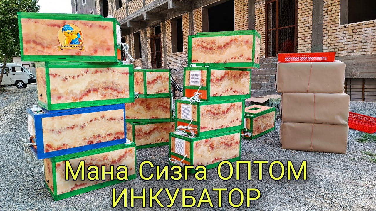 УЙДА ОСОН ДАРОМАД КИЛИШ ИНКУБАТОРДА жужа очириш  📞996083641 OPTOM INKUBATORLAR DOSTAVKA BOR