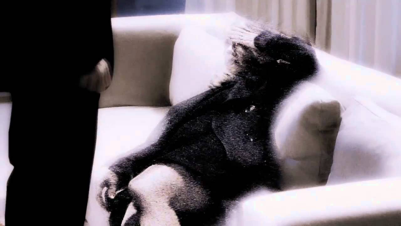 Caprica - Fade Out [OVC]