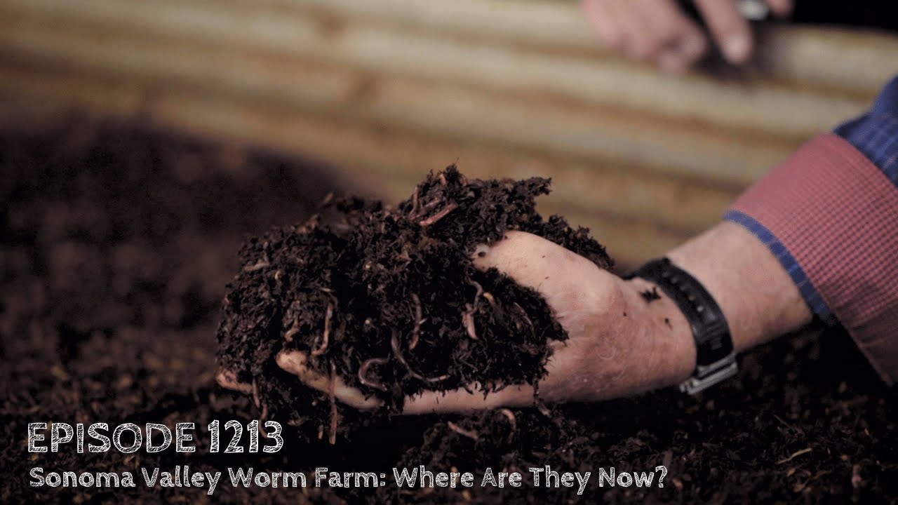 Выращиваем более зеленый мир. Эпизод 1213 — Червячная ферма в долине Сонома: где они сейчас?