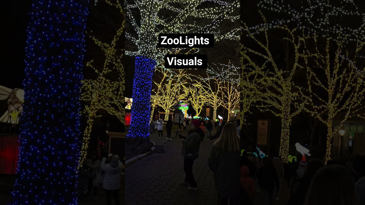 Must visit event in Washington DC during holidays 