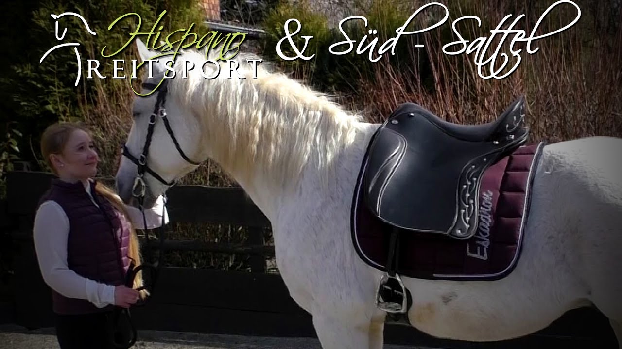 Impuls Brillant von Deuber & Partner - Stephan Günther von Südsattel & Hispano Reitsport