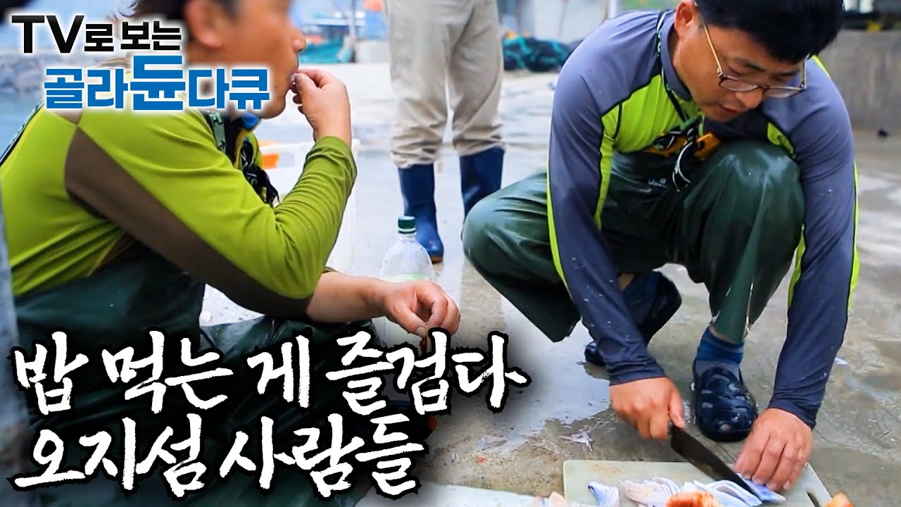장 보러 마트 대신 바다로 간다. 자급자족 오지섬사람들의 삼시세끼 모음집ㅣ섬에서 먹으면 더 맛있는 밥ㅣ한국기행│#골라듄다큐