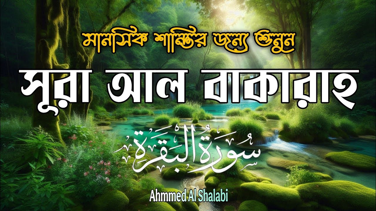 ঘরে শান্তি, নিরাপত্তা ও বরকতের জন্য শুনুন সূরা আল-বাকারা | Quran Recitation by ahmed al shalabi