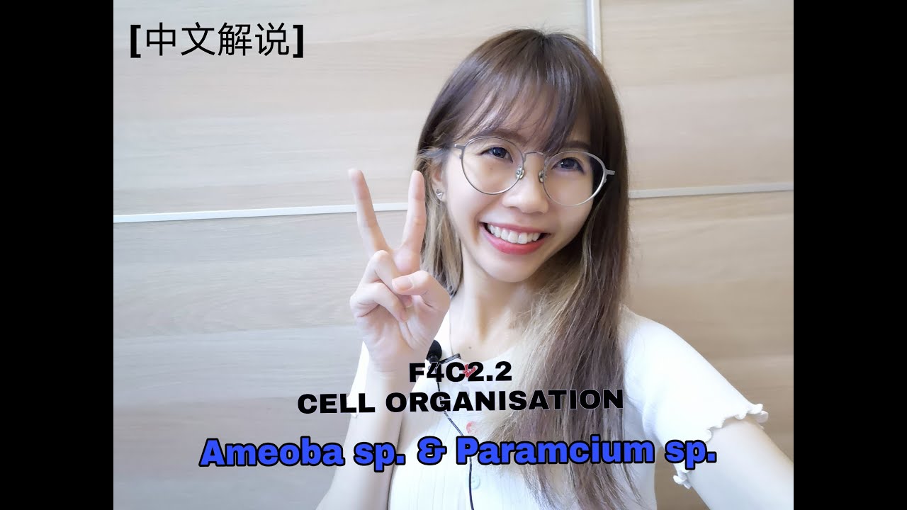 【中文解说】SPM BIOLOGY F4C2.2 AMEOBA SP. & PARAMECIUM SP.