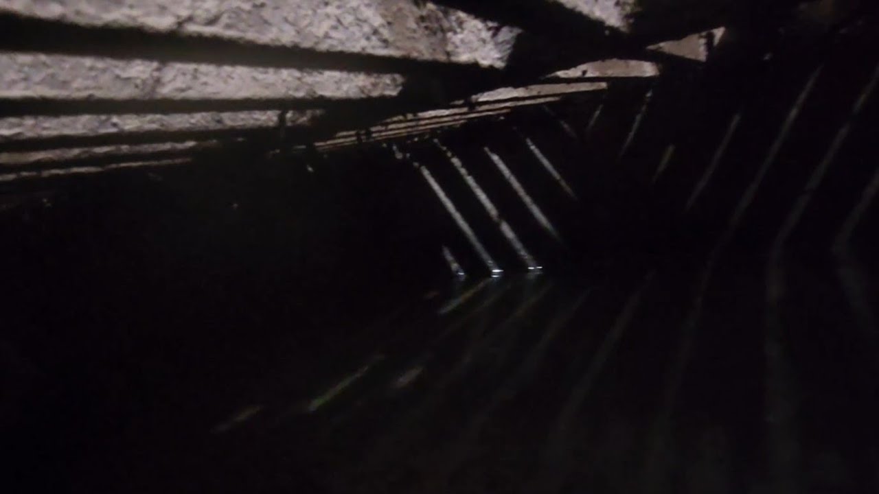 I dropped my phone down a drain... 