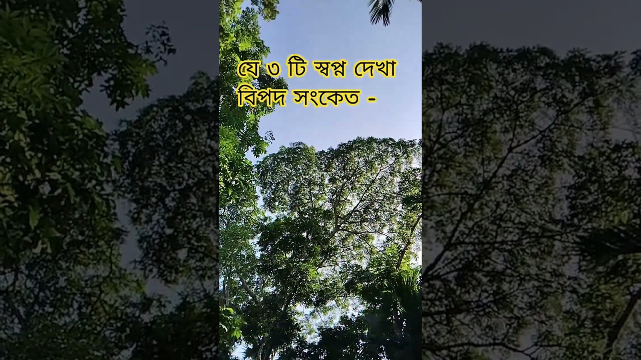 বিপদ সংকেত 