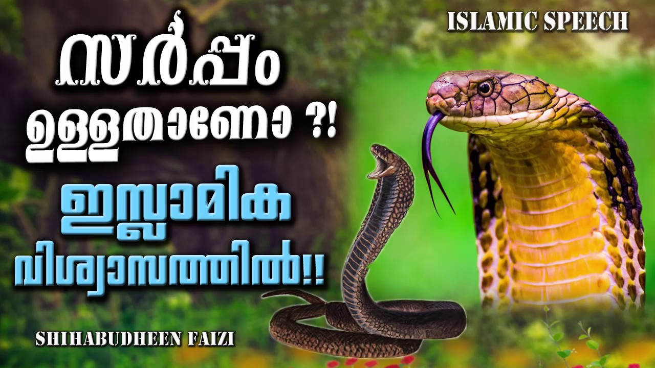 സർപ്പം ഉള്ളതാണോ? ഇസ്ലാമിക വിധി | Latest Islamic Speech In Malayalam 2018 | Shihabudeen Faisi