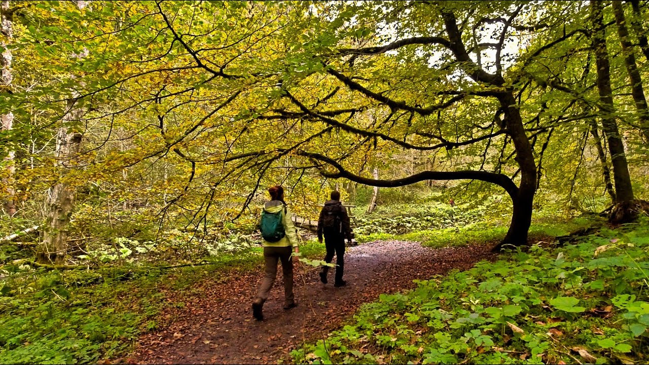 Durch tiefe Schluchten im S&uuml;dschwarzwald - Wutachschlucht, Gauchachschlucht und Engeschlucht
