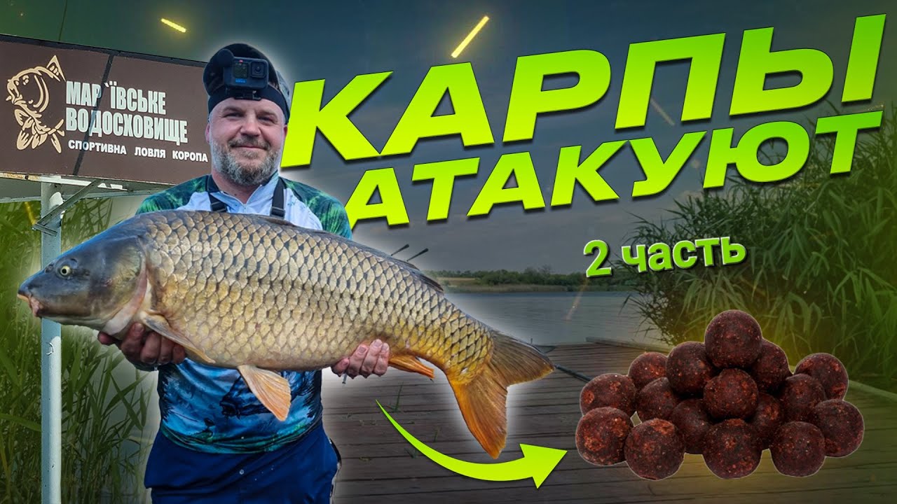 Карпы атакуют. Открытие сезона на Марьевском водохранилище. Часть 2.