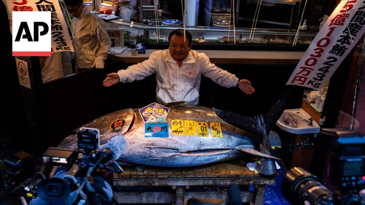 Bluefin tuna sells for record $3.2 million at first auction in Tokyo