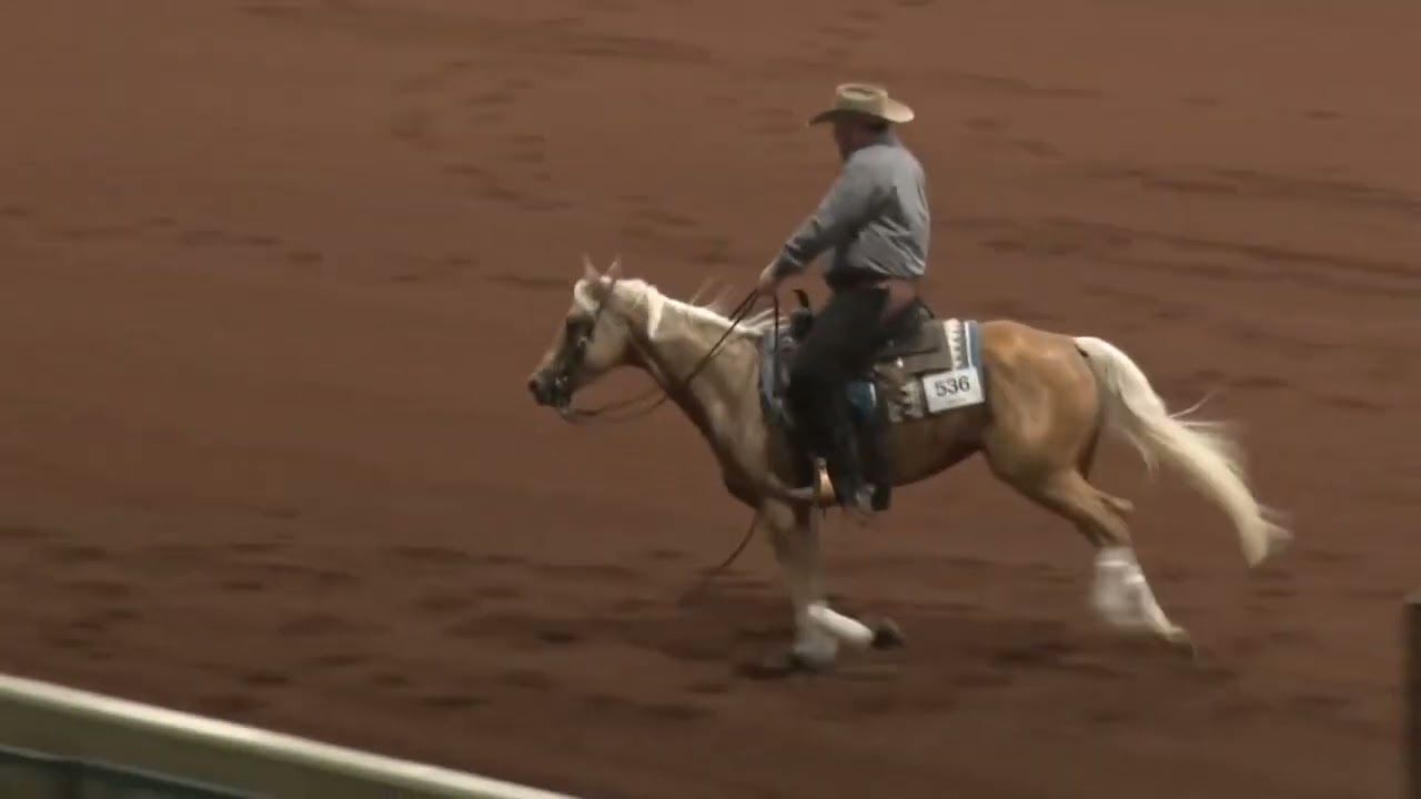 230518 Novice Open Jason Torpey on Wimpys Customcouture