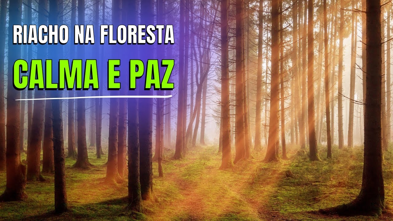 Som de Riacho em uma Floresta à Noite 🌲💧 | Relaxamento e Paz Interior