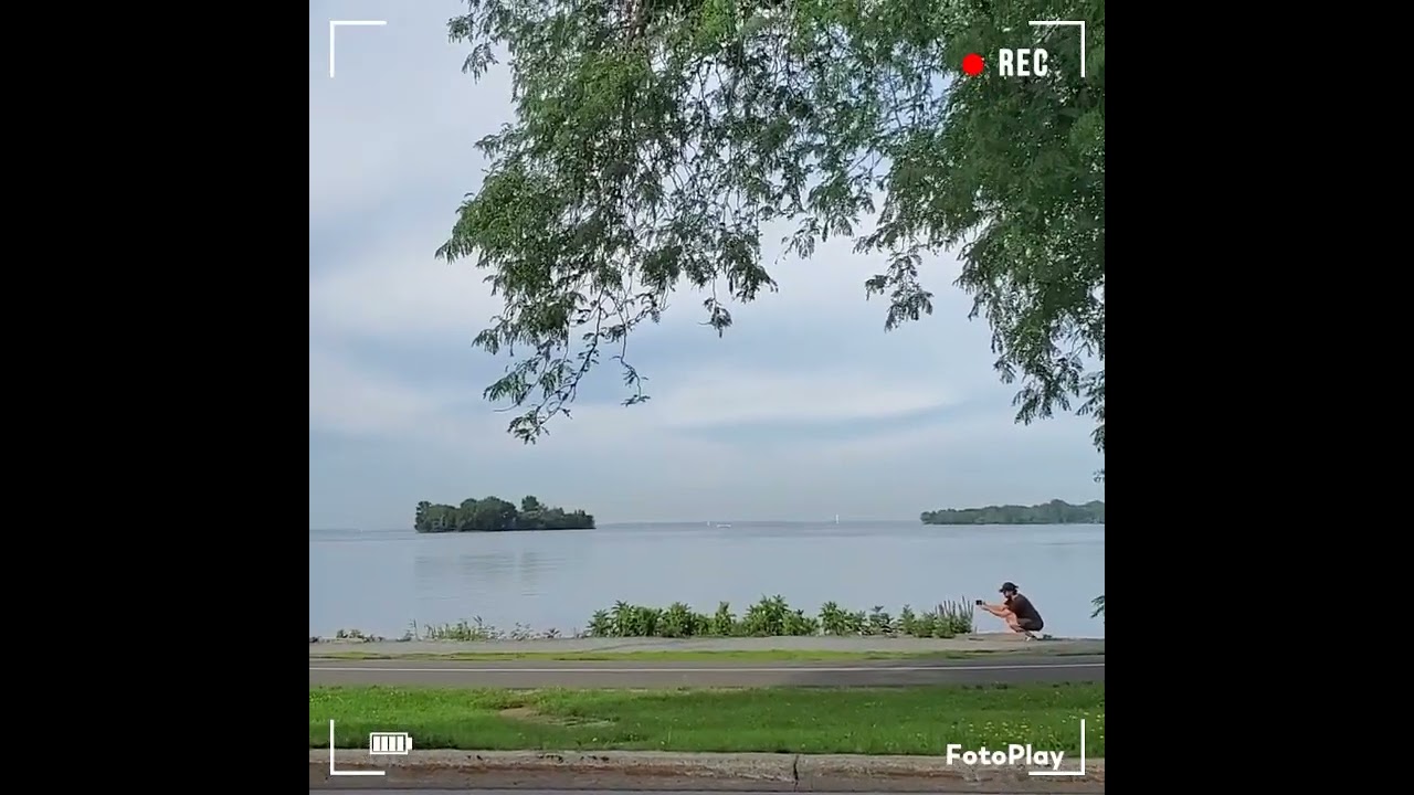 August 15, 2023 ❤️ @shorts nature in the city 