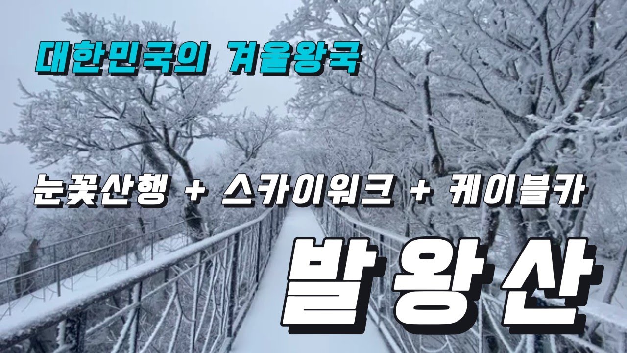 평창 눈꽃여행 발왕산 등산코스, 천년주목숲길, 스카이워크 케이블카 눈꽃산행 떠나요~