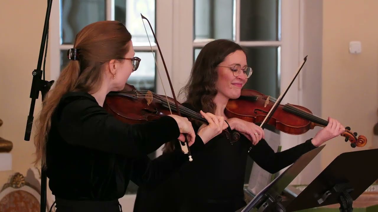 Cajetan Hantuch Koncert g-moll na Viole d'amore, 2 flety, 2 skrzypiec i basso continuo