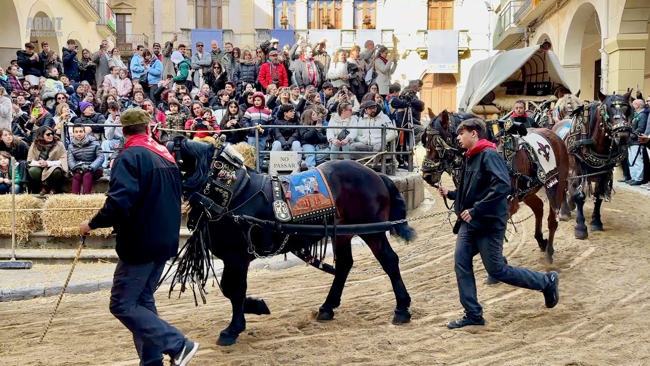 TRES TOMBS de SANT ANTONI 47a Edició - ESPECTACULAR Tomb de l’Ajuntament - Valls 2026 -Episodi nº 3