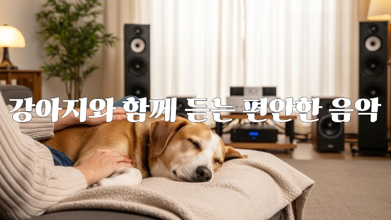 Playlist 애견인을 위한 음악 플레이리스트🐾 강아지와 함께 듣는 편안한 음악, 애견 힐링 음악, 강아지음악, 동물음악 | 중간광고없음 3시간 연속 듣기 #애견인 #강아지음악