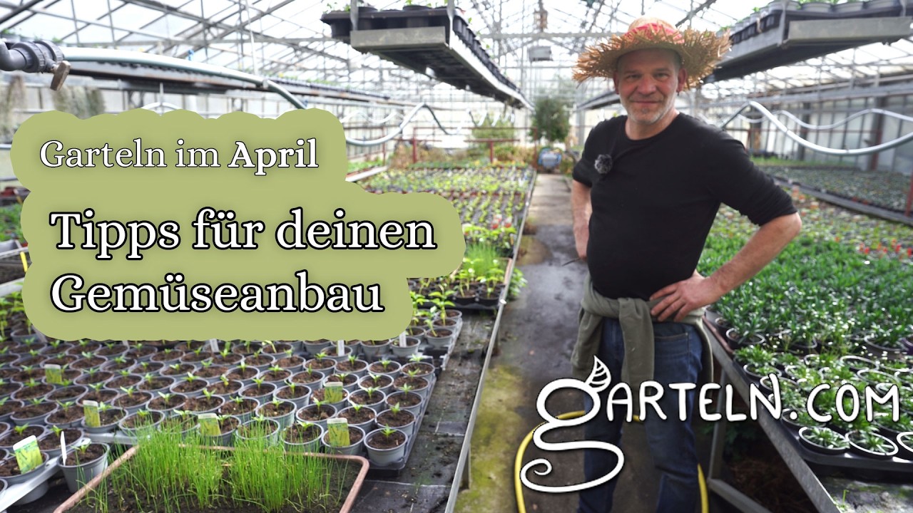 April-Check im Garten: Diese Fehler t&ouml;ten deine Ernte! 🌸 Marillen, Kr&auml;uter & Gem&uuml;se.