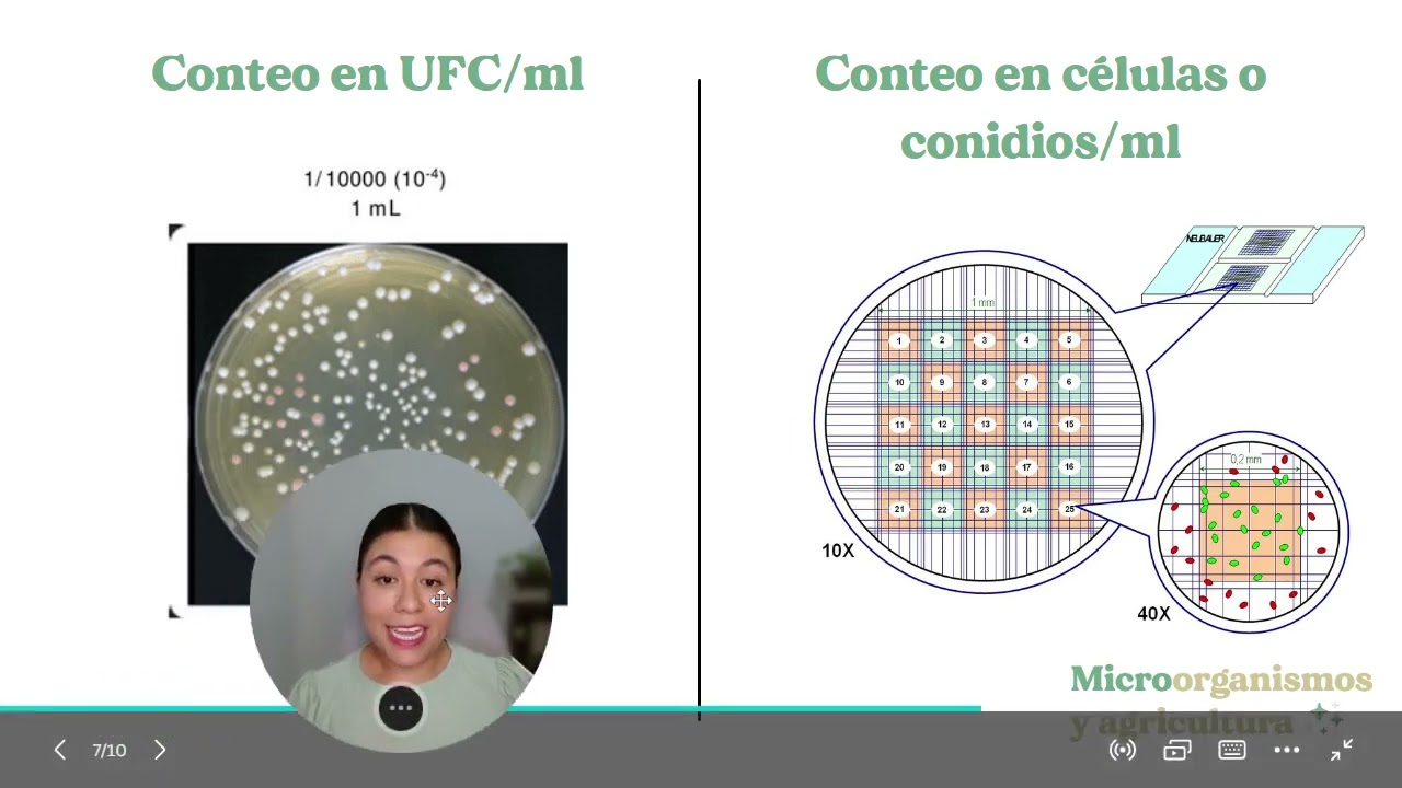 ¿Qué son las UFC (Unidades formadoras de colonia) y para qué se utilizan?
