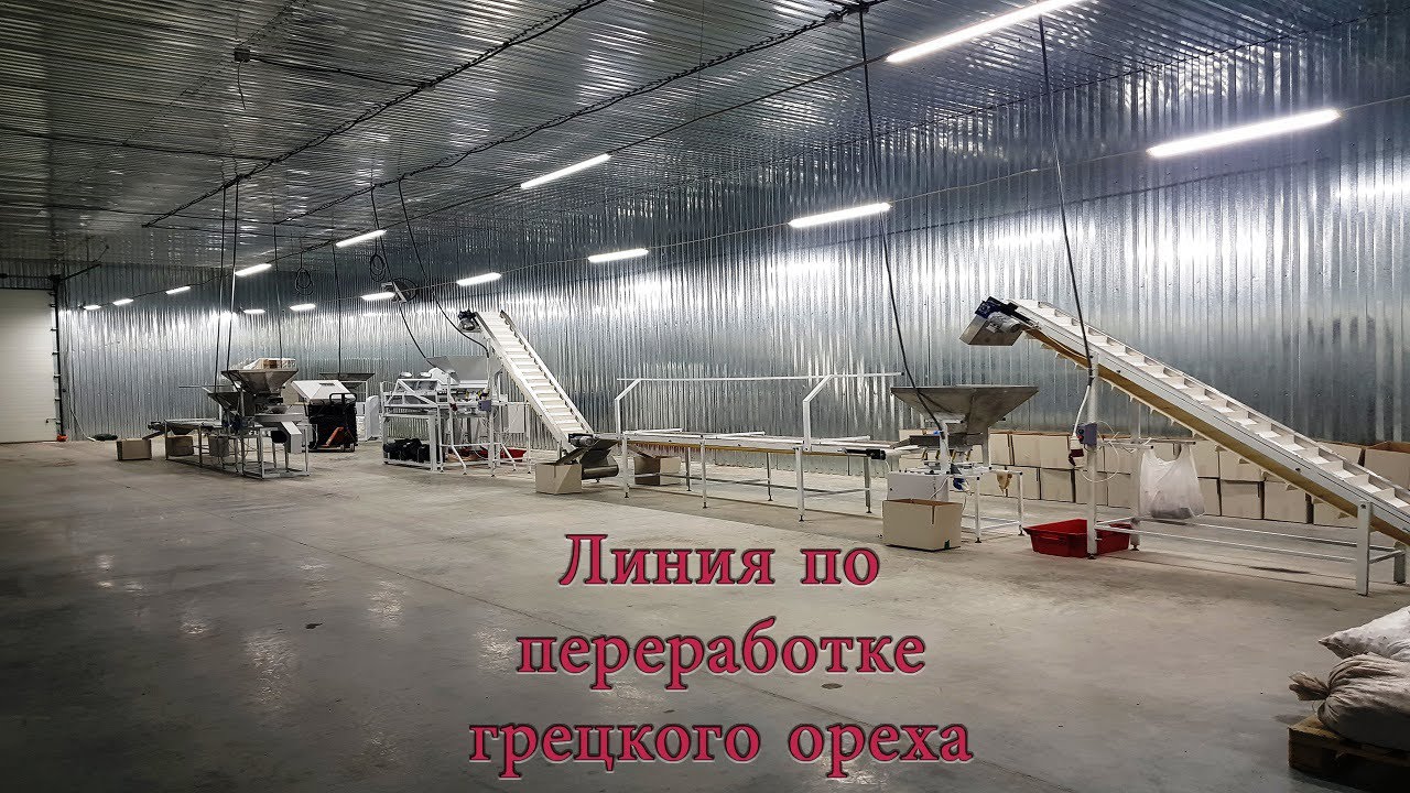 Линия по переработке грецкого  ореха / Переработка грецкого ореха