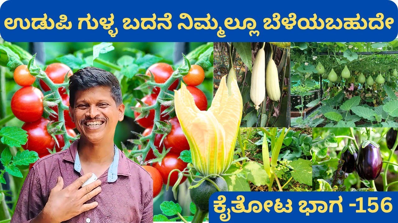 ಇದು ತರಕಾರಿ ಕೃಷಿಯ ಪ್ರಯೋಗಶಾಲೆ⁉️ಪ್ರಕಾಶ್ ಜೋಶಿ ಅವರ ಮನೆಯ ಸ್ವಂತ ಕೈತೋಟ @ಸುಲ್ಕೇರಿ ಬೆಳ್ತಂಗಡಿ