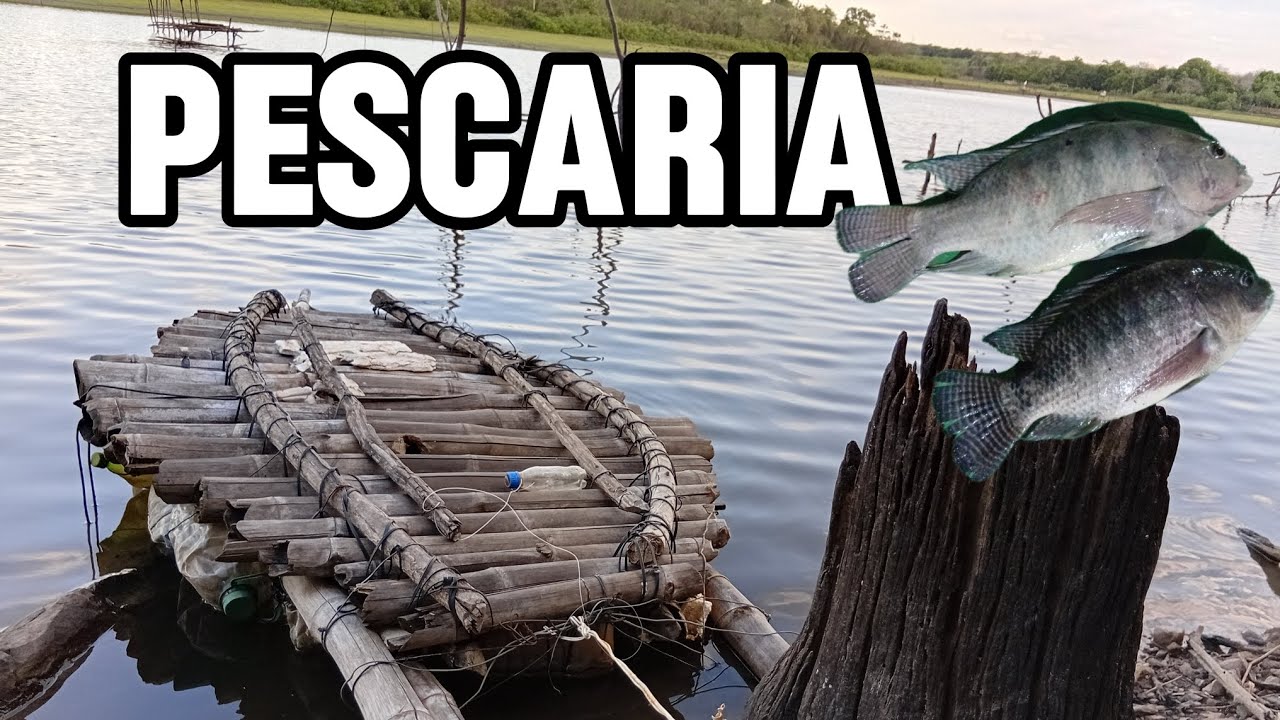 E VAMOS DE #PESCARIA#tilápias 