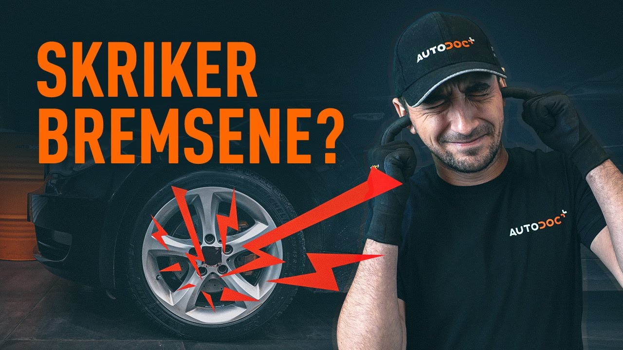 Hvorfor skriker bremsene? | Tips fra AUTODOC