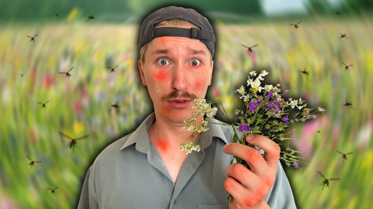 Mitä ei kannata tehdä kesällä 6