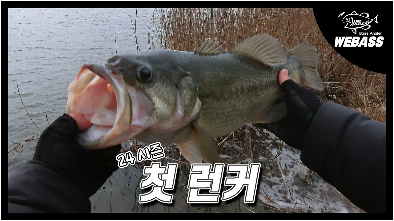 [배스낚시] 대호만 우중전 프리리그에 나온 첫 런커 Ep.185 위배스