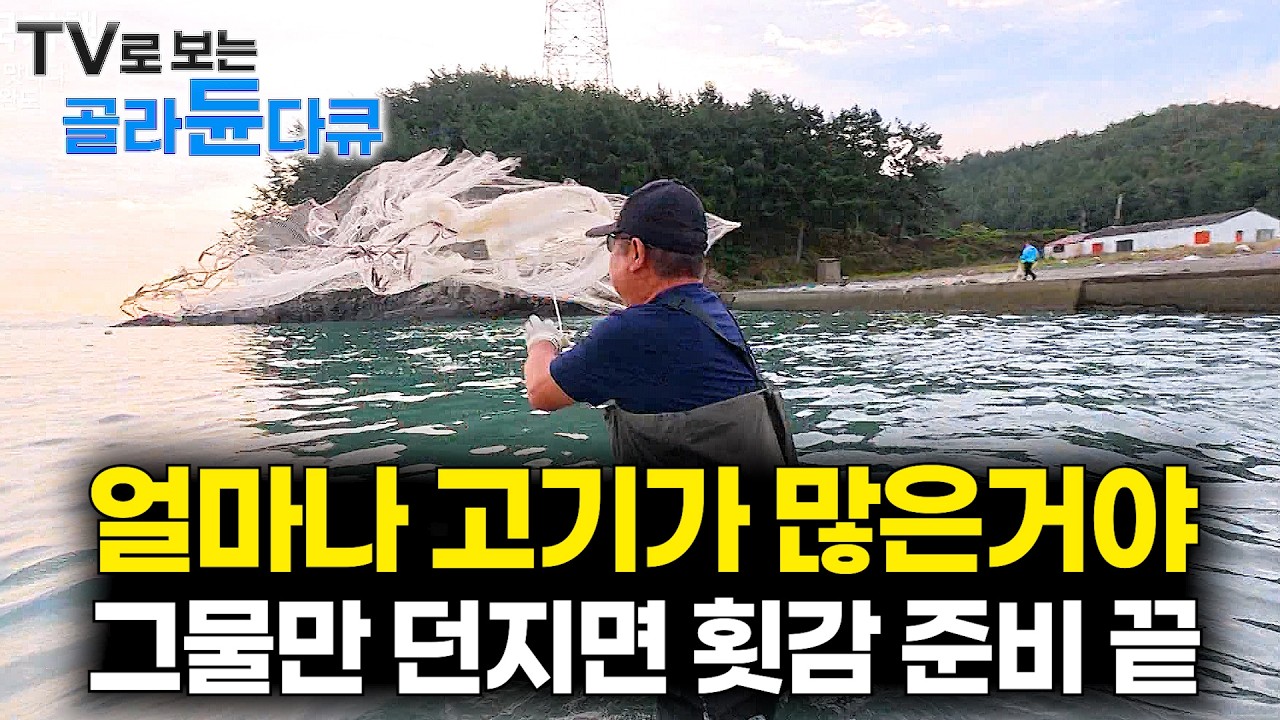 🐟양식장 옆 바다에 가만히 서서 던지기만 했는데 제철 횟감 알아서 올라오네🐟 투망의 달인따라갔더니｜가을  바다의 맛 1시간 몰아보기｜한국기행｜#tv로보는골라듄다큐