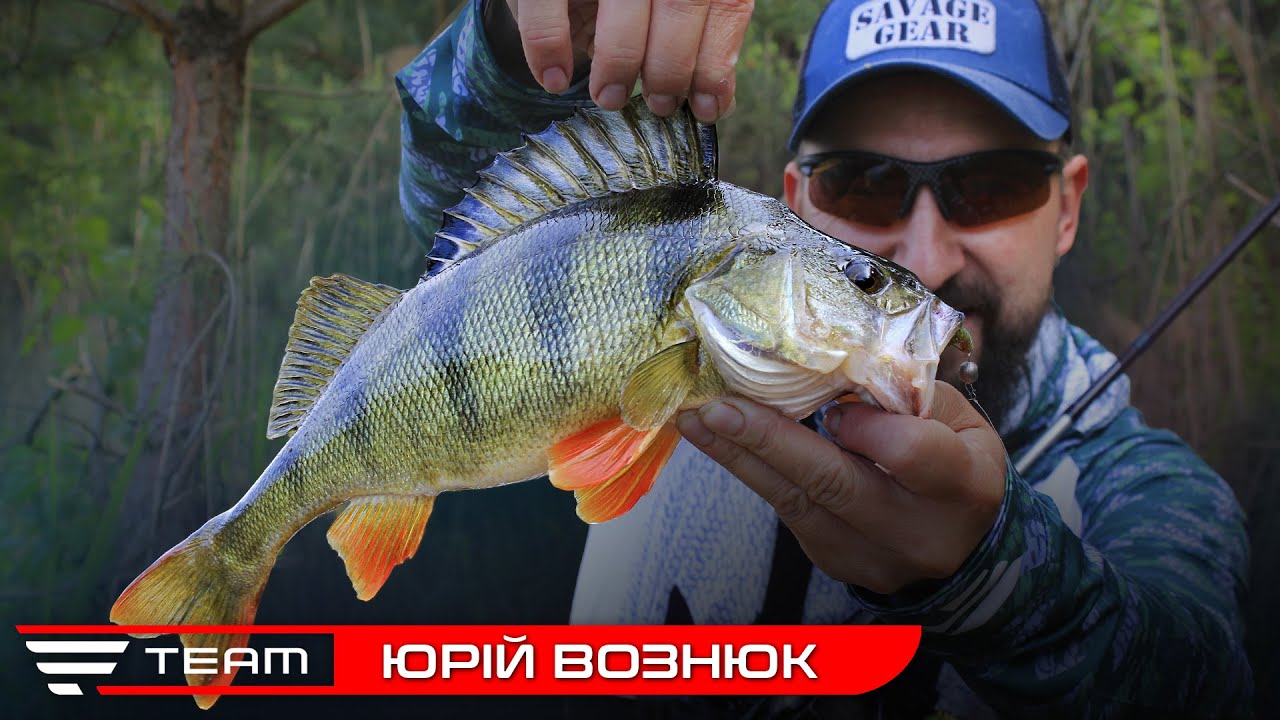 Ловля ТРОФЕЙНОГО окуня на піщаному кар‘єрі. Рибалка на спінінг літом