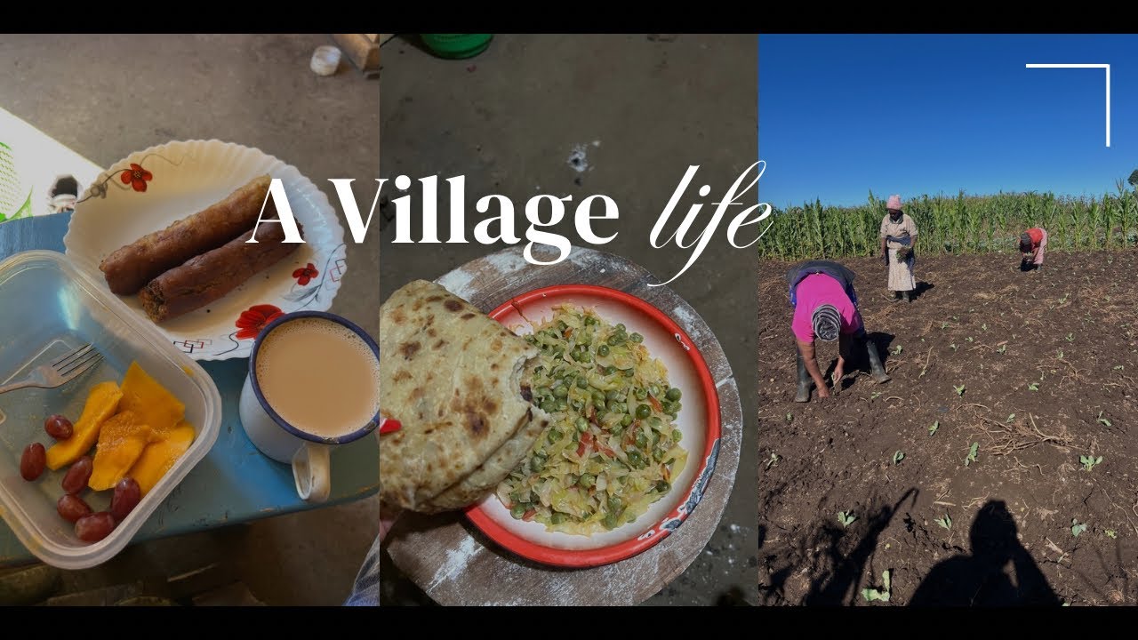 Village Vlog 2: Our Morning +Evening Routine,Farming ,Cooking , Cleaning,Village Life