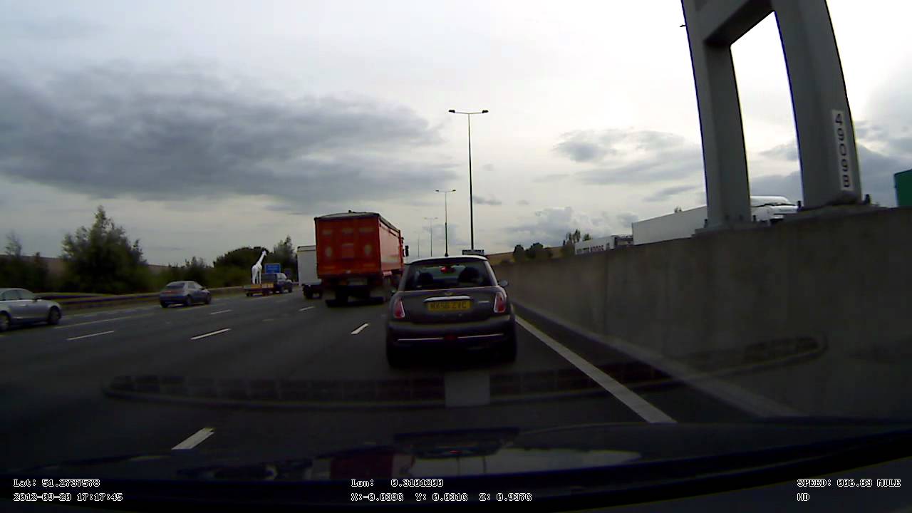 Albino Giraffe spotted on M25