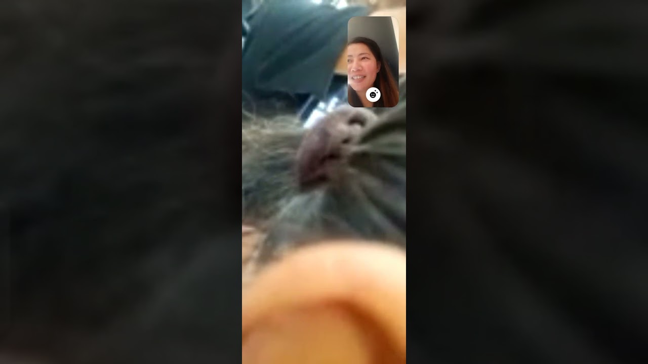 Weekend vacation of mama #trending #subscribe #follow 