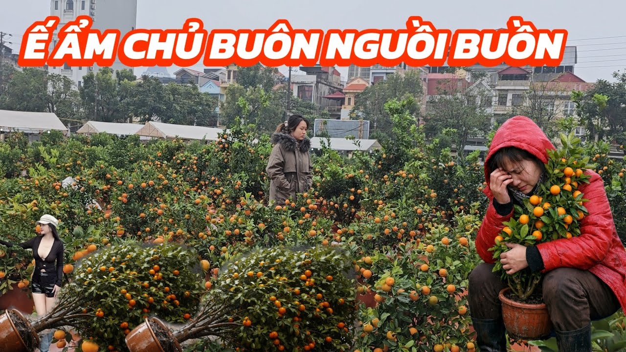 Chợ Quất Tết  Đào Tết 2026 Lạng Sơn Ế Ẩm – Mưa Nồm Kéo Dài Chủ Buôn Ngồi Ôm Mặt Khóc