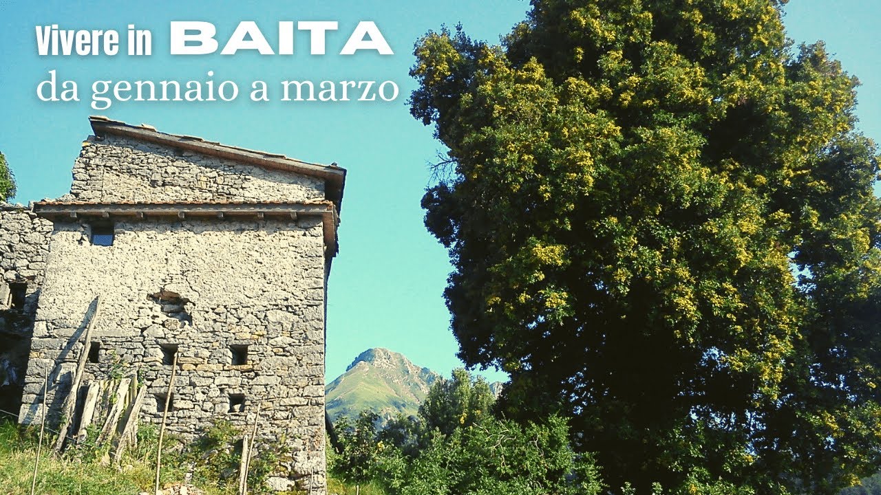 Vita (e lavori) in una baita di montagna; da gennaio a marzo