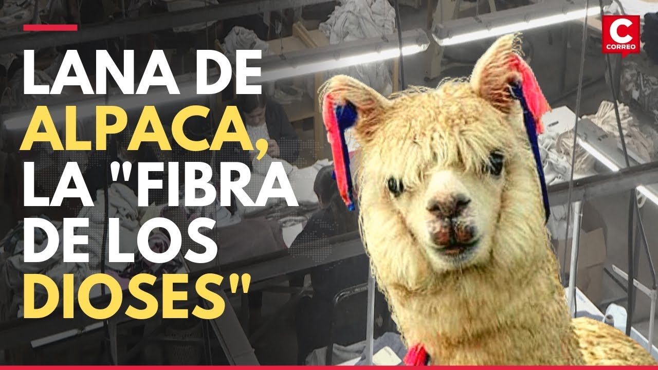 Prendas de lana de alpaca peruana conquistan al mundo