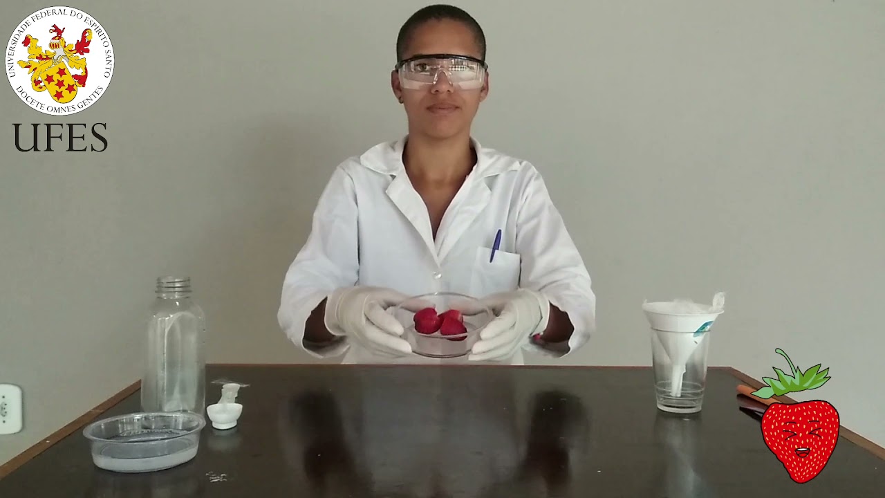Extração do DNA do Morango - Bioquímica