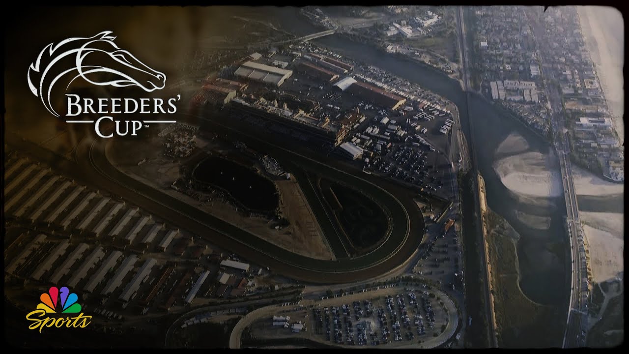 Betting the 2025 Breeders' Cup: Best bets | NBC Sports